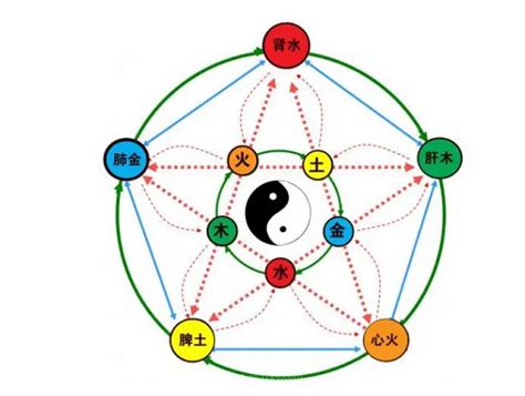 五行素是什麼